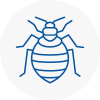 Bed Bug Extermination In Cleveleys