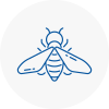 Bee Nest Removal Cleveleys