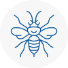 Cleveleys Hornet Nest Removals