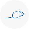 Mice Exterminators In Cleveleys