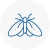 Moth Control Specialists In Cleveleys
