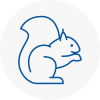 Cleveleys Rodent Removals